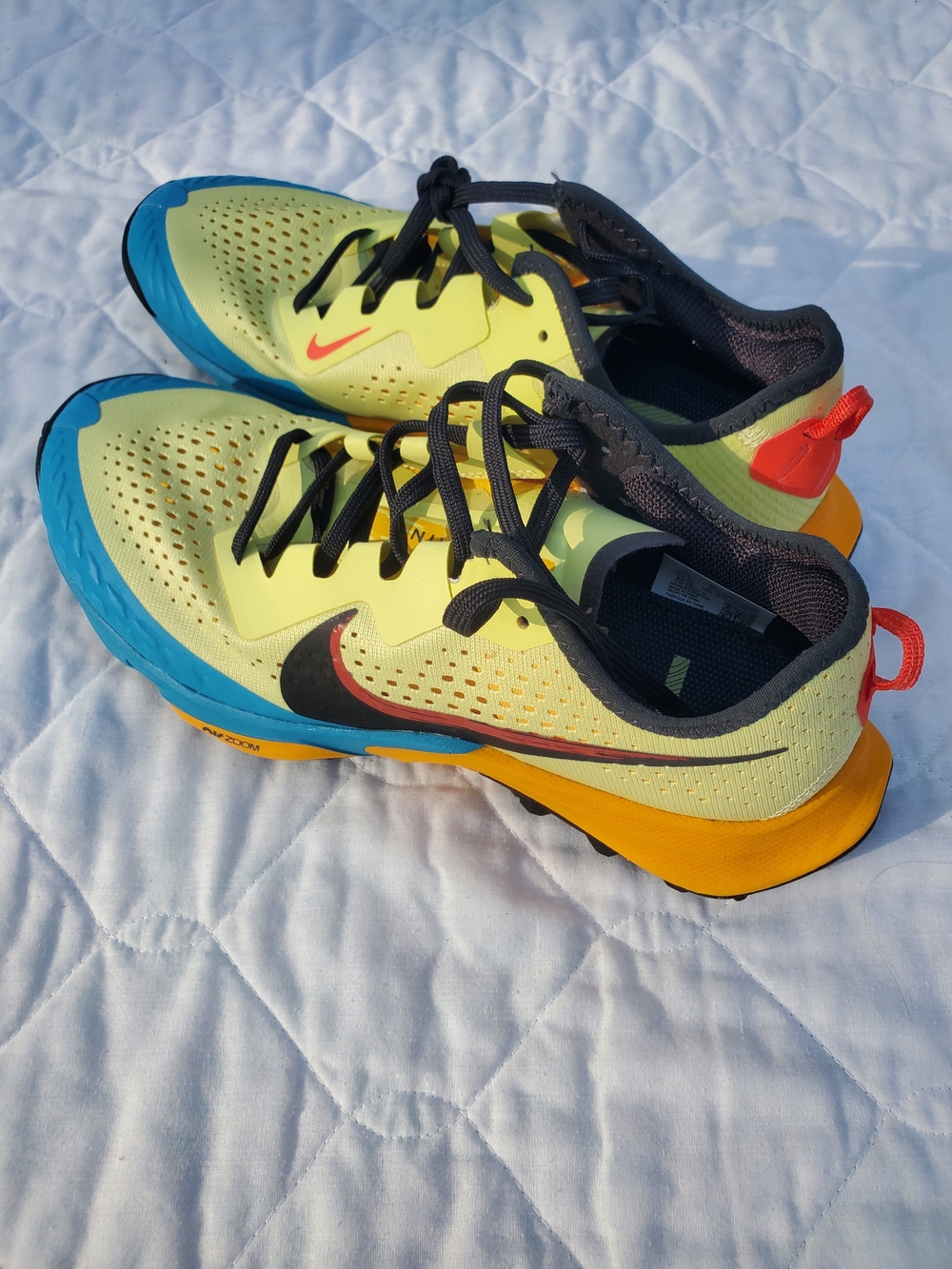 Nike Mens' Trail Terra Running Shoes - Yellow/Blue Accent